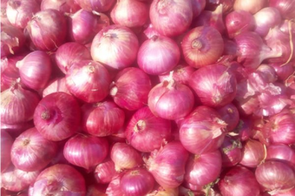 Http krmp.cc onion market 4078